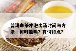 普洱白茶冲泡出汤时间与方法：何时能喝？有何特点？