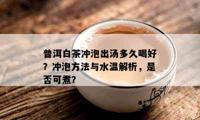 普洱白茶冲泡出汤多久喝好？冲泡方法与水温解析，是否可煮？