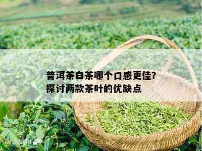 普洱茶白茶哪个口感更佳？探讨两款茶叶的优缺点