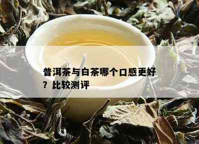 普洱茶与白茶哪个口感更好？比较测评