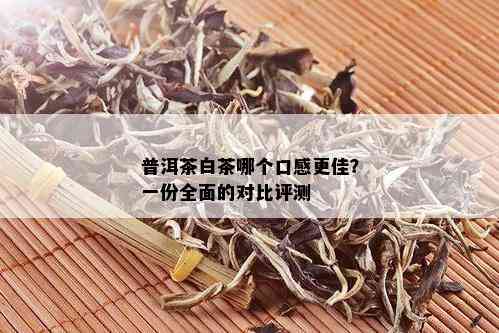 普洱茶白茶哪个口感更佳？一份全面的对比评测