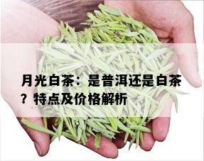 月光白茶：是普洱还是白茶？特点及价格解析