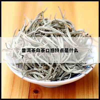 普洱茶白茶口感特点是什么？