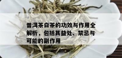 普洱茶白茶的功效与作用全解析，包括其益处、禁忌与可能的副作用