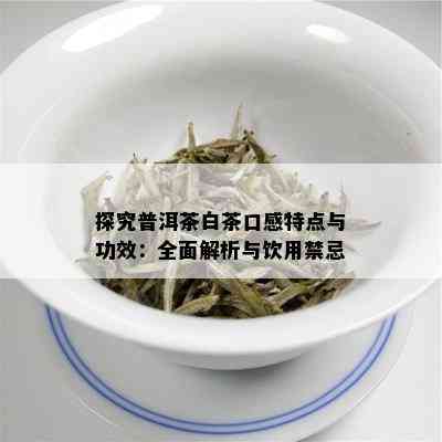 探究普洱茶白茶口感特点与功效：全面解析与饮用禁忌