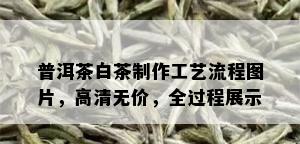 普洱茶白茶制作工艺流程图片，高清无价，全过程展示