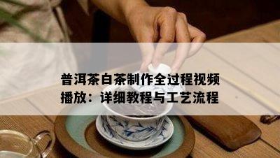 普洱茶白茶制作全过程视频播放：详细教程与工艺流程