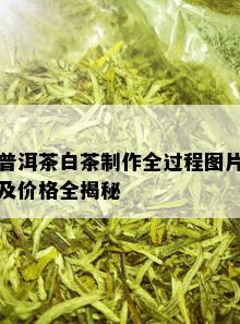 普洱茶白茶制作全过程图片及价格全揭秘