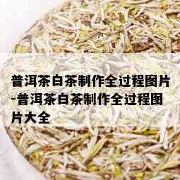 普洱茶白茶制作全过程图片-普洱茶白茶制作全过程图片大全