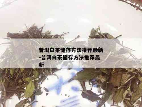 普洱白茶储存方法推荐最新-普洱白茶储存方法推荐最新