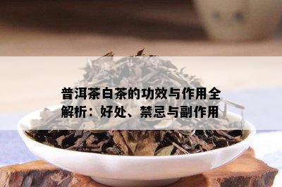 普洱茶白茶的功效与作用全解析：好处、禁忌与副作用