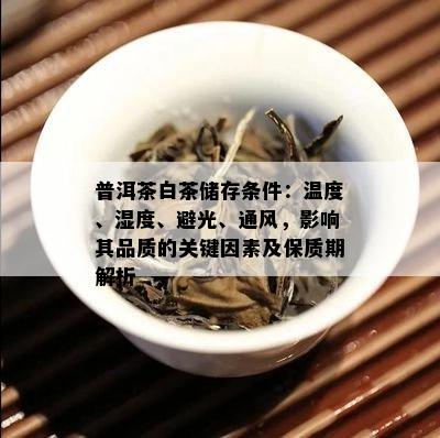 普洱茶白茶储存条件：温度、湿度、避光、通风，影响其品质的关键因素及保质期解析