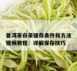 普洱茶白茶储存条件和方法视频教程：详解保存技巧