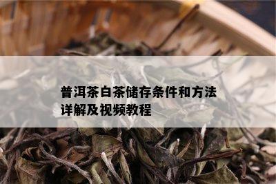 普洱茶白茶储存条件和方法详解及视频教程