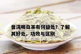 普洱喝白茶有何益处？了解其好处、功效与区别