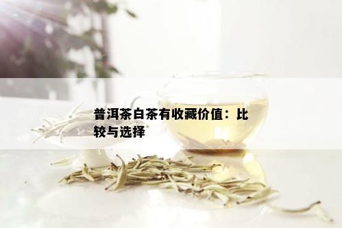 普洱茶白茶有收藏价值：比较与选择