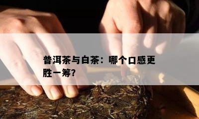 普洱茶与白茶：哪个口感更胜一筹？