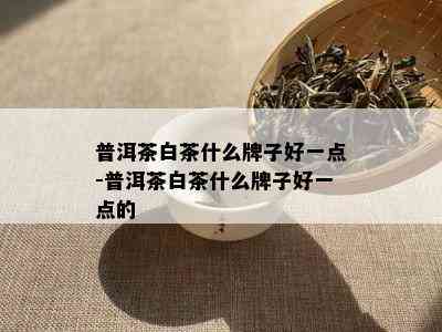 普洱茶白茶什么牌子好一点-普洱茶白茶什么牌子好一点的