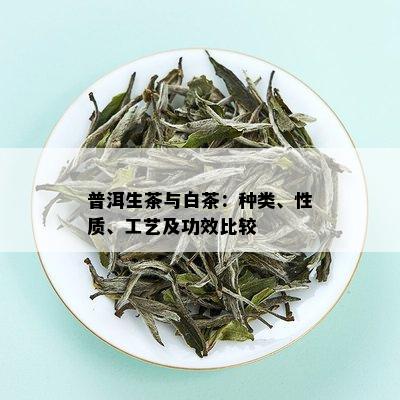 普洱生茶与白茶：种类、性质、工艺及功效比较