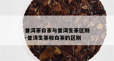 普洱茶白茶与普洱生茶区别-普洱生茶和白茶的区别