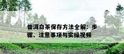 普洱白茶保存方法全解：步骤、注意事项与实操视频