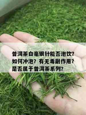 普洱茶白毫银针能否泡饮？如何冲泡？有无副作用？是否属于普洱茶系列？