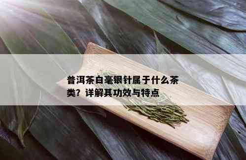 普洱茶白毫银针属于什么茶类？详解其功效与特点