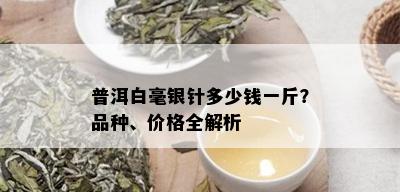 普洱白毫银针多少钱一斤？品种、价格全解析