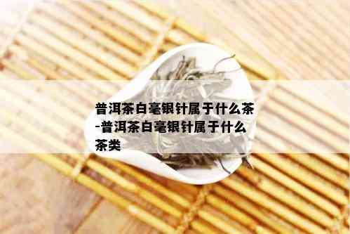 普洱茶白毫银针属于什么茶-普洱茶白毫银针属于什么茶类