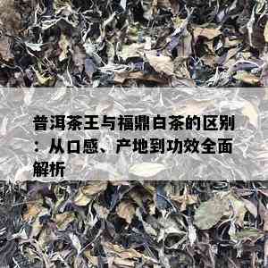 普洱茶王与福鼎白茶的区别：从口感、产地到功效全面解析