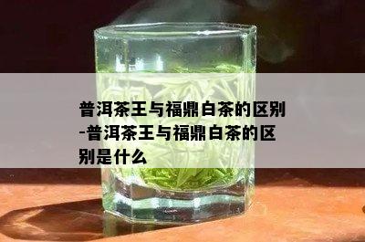 普洱茶王与福鼎白茶的区别-普洱茶王与福鼎白茶的区别是什么