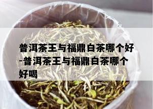 普洱茶王与福鼎白茶哪个好-普洱茶王与福鼎白茶哪个好喝