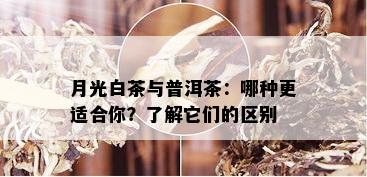 月光白茶与普洱茶：哪种更适合你？了解它们的区别