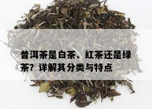 普洱茶是白茶、红茶还是绿茶？详解其分类与特点