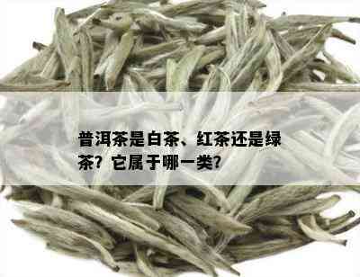 普洱茶是白茶、红茶还是绿茶？它属于哪一类？