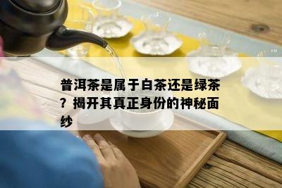 普洱茶是属于白茶还是绿茶？揭开其真正身份的神秘面纱