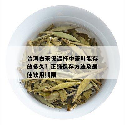 普洱白茶保温杯中茶叶能存放多久？正确保存方法及更佳饮用期限