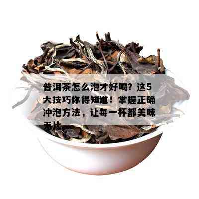 普洱茶怎么泡才好喝？这5大技巧你得知道！掌握正确冲泡方法，让每一杯都美味无比。