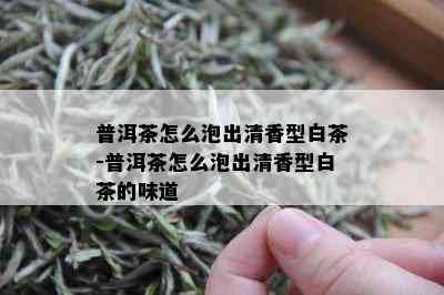 普洱茶怎么泡出清香型白茶-普洱茶怎么泡出清香型白茶的味道