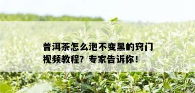 普洱茶怎么泡不变黑的窍门视频教程？专家告诉你！