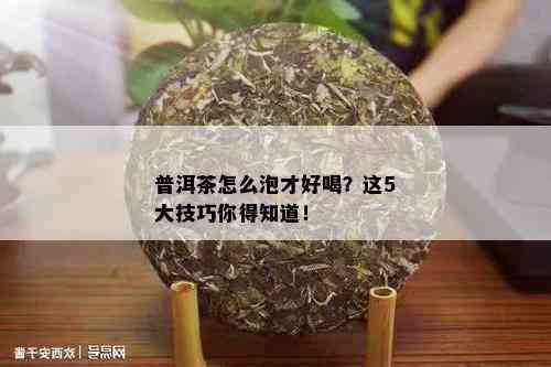 普洱茶怎么泡才好喝？这5大技巧你得知道！