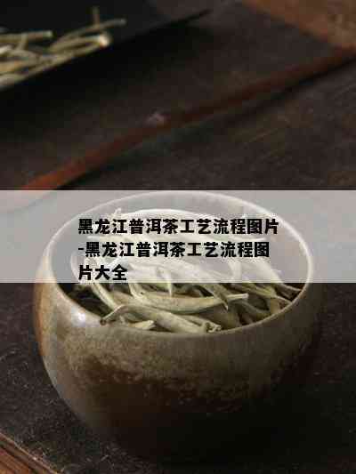 黑龙江普洱茶工艺流程图片-黑龙江普洱茶工艺流程图片大全