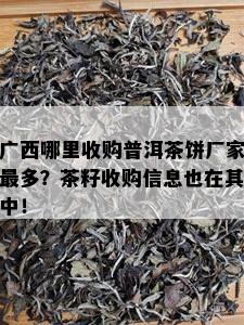 广西哪里收购普洱茶饼厂家最多？茶籽收购信息也在其中！
