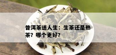 普洱茶送人生：生茶还是熟茶？哪个更好？