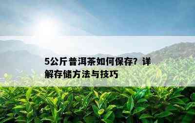 5公斤普洱茶如何保存？详解存储方法与技巧