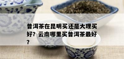 普洱茶在昆明买还是大理买好？云南哪里买普洱茶更好？