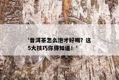 '普洱茶怎么泡才好喝？这5大技巧你得知道！'