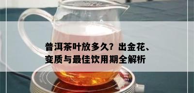 普洱茶叶放多久？出金花、变质与更佳饮用期全解析