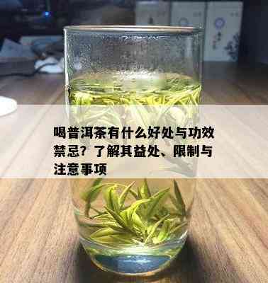 喝普洱茶有什么好处与功效禁忌？了解其益处、限制与注意事项