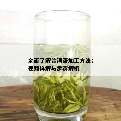 全面了解普洱茶加工方法：视频详解与步骤解析